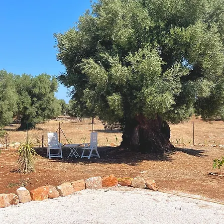 Feriehus Ulivi & Mare *