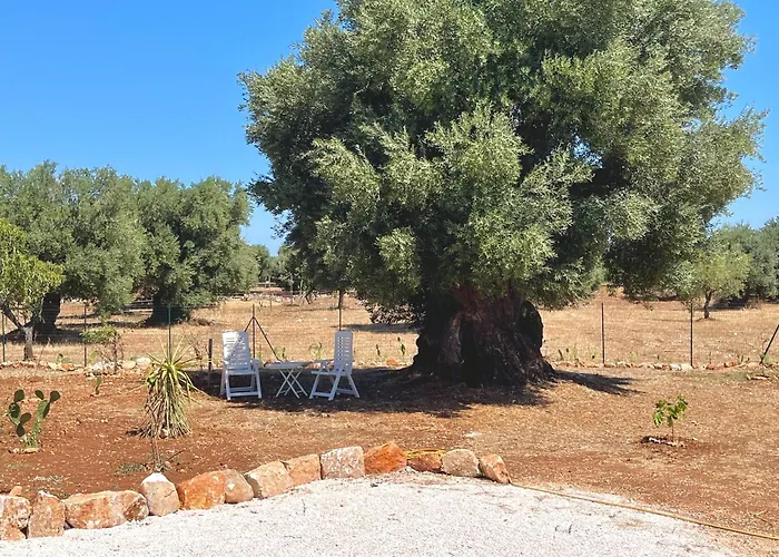 Casa vacanze Ulivi&mare *