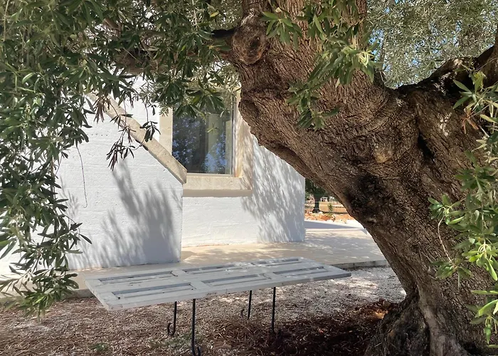 Casa vacanze Ulivi&mare *